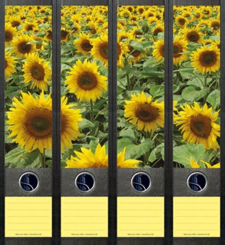 Ordnerrücken breit 4er Set Ordner Sonnenblume Blume Blumen Aufkleber Etiketten Deko 079 Ordnerrücken breit 4er Set Ordner Sonnenblume Blume Blumen Aufkleber Etiketten Deko 079 von Ordnerrücken breit