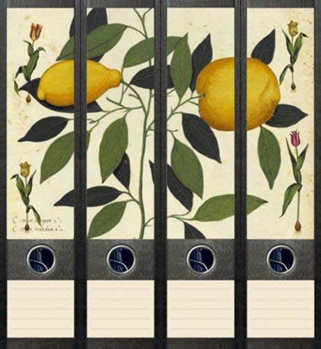 4er Set Ordnerrücken für breite Ordner Zitrone Obst Aufkleber Etiketten Deko 037 von Ordnerrücken breit