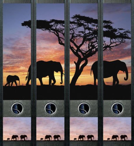 4er Set Ordnerrücken für breite Ordner Elefant Afrika Aufkleber Etiketten Deko 425 von Ordnerrücken breit