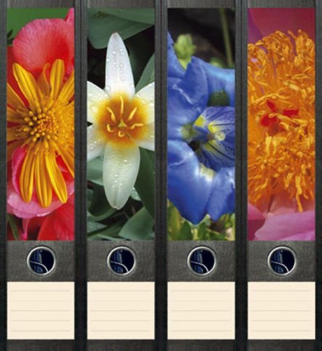 4er Set Ordnerrücken für breite Ordner Enzian Blume Blumen Aufkleber Etiketten Deko 012 von Ordnerrücken breit