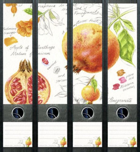 4er Set Ordnerrücken für breite Ordner Granatapfel Apfel Aufkleber Etiketten Deko 428 von Ordnerrücken breit