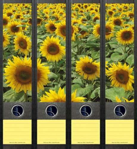 4er Set Ordnerrücken für breite Ordner Sonnenblume Blume Blumen Aufkleber Etiketten Deko 079 von Ordnerrücken breit