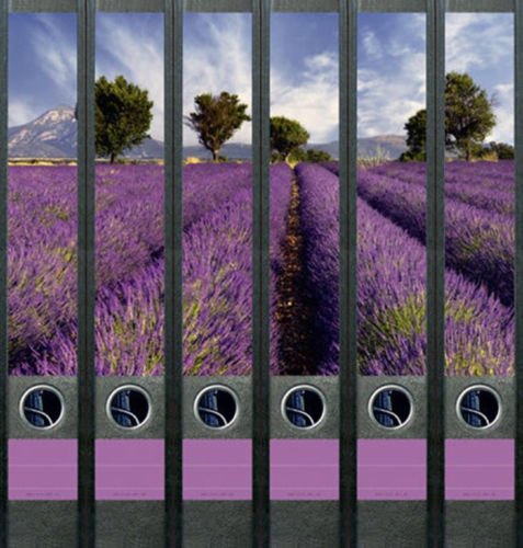 6er Set Ordnerrücken für schmale Ordner Provence Lavendel Ordner Aufkleber Etiketten Deko 605 von Ordnerrücken schmal