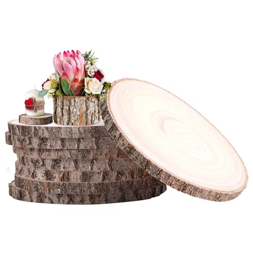 Holzscheiben, Baumscheiben, 8 Stück, unlackiertes Holz von OriCre