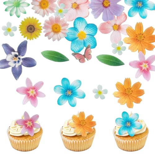 Tortendeko Blumen, 115 Stück Blumen Deko Torte Kirschblüte Schmetterling Sonnenblume Hawaii Blumen Cupcake Topper für Geburtstag Hochzeits Baby Dusche Party Cupcakes Muffin Deko Tortendeko Blumen, 115 Stück Blumen Deko Torte Kirschblüte Schmetterling Sonnenblume Hawaii Blumen Cupcake Topper für Geburtstag Hochzeits Baby Dusche Party Cupcakes Muffin Deko von Orizizhic
