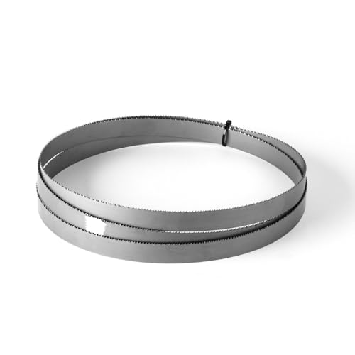 ORTA Bi-Metall M42 HSS - 10 mm Breit - Nagelfeste Bandsägeblätter für Holz und Paletten (0,90 mm x 6 ZpZ, 2080 mm) von Orta
