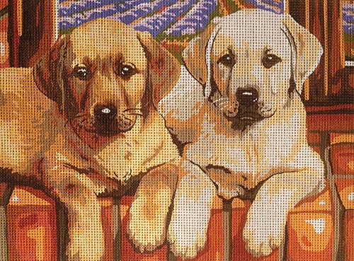 Krainer Gobelin Stickbild Stickpackung Labradors halber Kreuzstich 23X30cm. inkl. Sticktwist cod K19 von Oscarre K. gobelins