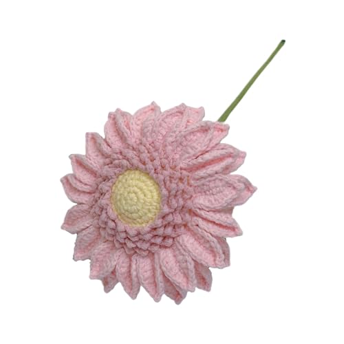 Oshhni Häkelblume DIY Craft Project Tragbares Blumenarrangement Home Decor Bouquet für Geburtstagsfeier -Büro -Abschlussgeschenk, Rosa Oshhni Häkelblume DIY Craft Project Tragbares Blumenarrangement Home Decor Bouquet für Geburtstagsfeier -Büro -Abschlussgeschenk, Rosa von Oshhni