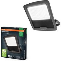 OSRAM ENDURA® Flood Cool White PCR LED-Flutlichtstrahler dunkelgrau 100 W von Osram