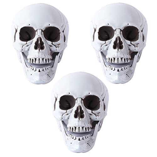 Osuter Schädel Halloween, 3 Stück Totenkopf Set Horror Realistisch Knochen Halloween Skelett Requisiten Gefälscht Totenschädel für Spukhaus Outdoor Party Dekorationen Osuter Schädel Halloween, 3 Stück Totenkopf Set Horror Realistisch Knochen Halloween Skelett Requisiten Gefälscht Totenschädel für Spukhaus Outdoor Party Dekorationen von Osuter