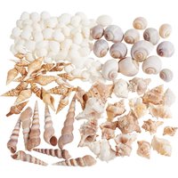 Muschelmix, natural von Othmar Decorations