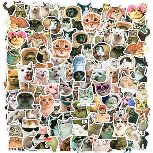Ouligay 100 Stück Lustiges Katzen Aufkleber Set,Cute Katzen Sticker,Meme Sticker,Wasserfeste Vinyl Aufkleber Aesthetic Aufkleber für Skateboard Laptop Erwachsene Kinder von Ouligay