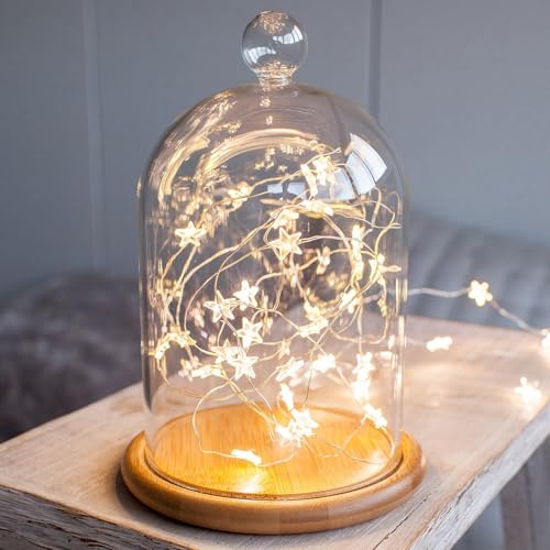 40er LED Stern Lichterkette Batterie Betriebe, 4M Warm weiß Mini Lichterketten Silber Kupferdraht Batteriebetrieb, LED Kleine Lichterkette Draht Beleuchtung für Innen Außen Stern Deko 40er LED Stern Lichterkette Batterie Betriebe, 4M Warm weiß Mini Lichterketten Silber Kupferdraht Batteriebetrieb, LED Kleine Lichterkette Draht Beleuchtung für Innen Außen Stern Deko von Oupdate