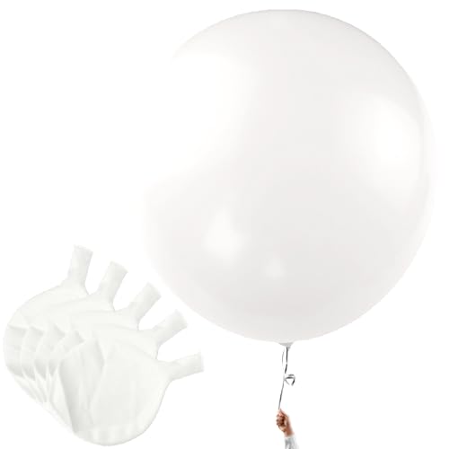 Ovanda XXL Weißer Luftballon, 5 x Durchmesser 60 cm Großer Latex Riesenballon für Hochzeit, Deko, Party Heliumgeeignet Weiße Große Luftballons für Geburtstag & Baby Shower Ovanda XXL Weißer Luftballon, 5 x Durchmesser 60 cm Großer Latex Riesenballon für Hochzeit, Deko, Party Heliumgeeignet Weiße Große Luftballons für Geburtstag & Baby Shower von Ovanda
