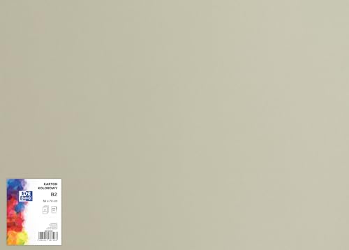 OXFORD Tonzeichenkarton 50 x 70 cm Bastelkarton, DIN B2, Tonkarton B2, Buntes Bastelpapier, für Arten von Handarbeiten, Tonpapier 225 g/m² Bristolkarton 25 Blatt, grau 25 Stück von Oxford