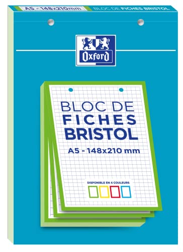 OXFORD Steckblock BriSTOL 2.0, perforiert, 148 x 210 mm, kleine Karos, 5 x 5 mm, 30 Stecker, grüner Rahmen von Oxford
