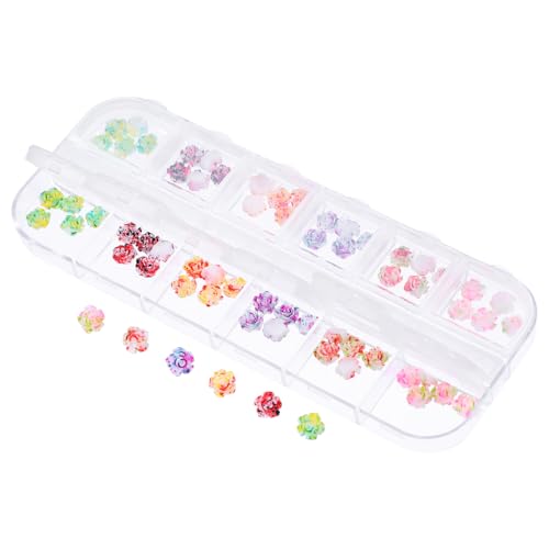 1 Schachtel Nageldekorationen Diy Maniküre Zubehör für Charmante Nail Art Langlebig und Sicher für Designs und Fingernägel von PACKOVE