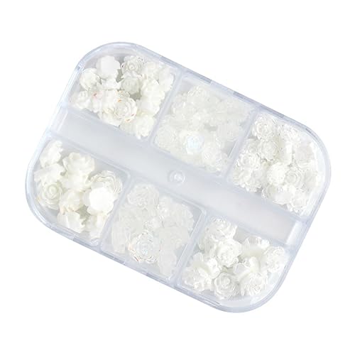 PACKOVE 1 Satz Boxen Blüten Nagelschmuck Maniküre Zubehör Für Und Mädchen Diy Nail Art Dekorationen Geschenkidee Für Nail Art 2boxen PACKOVE 1 Satz Boxen Blüten Nagelschmuck Maniküre Zubehör Für Und Mädchen Diy Nail Art Dekorationen Geschenkidee Für Nail Art 2boxen von PACKOVE