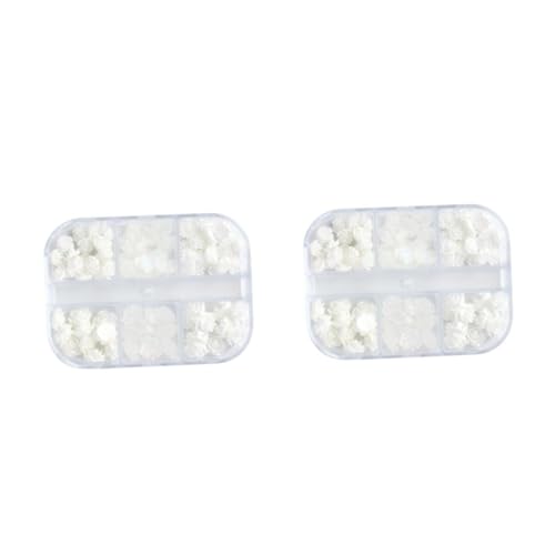 PACKOVE 2 Sätze Blumen Nagel Charms Set Mit Fächern Für Kreative Maniküren Für Diy Nagelkunst Und Dekorationen Für Und Mädchen 2boxen*2 von PACKOVE