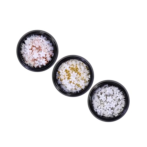 PACKOVE Mini Resin Flower Nail Decorations Für Maniküre Dekoration Einzigartige Blumenformen Für Stilvolle Nagelkunst Einfach Anzuwenden Für Besondere Anlässe von PACKOVE