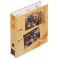 PAGNA Motivordner Zootiere 7,5 cm DIN A4 PAGNA Motivordner Zootiere 7,5 cm DIN A4 von PAGNA