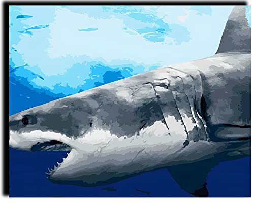 PAMMUQ DIY Malen nach Zahlen Großer weißer Hai Handgemalte Kits Zeichnung Leinwand Bilder nach Zahlen Tier Porträt Wohnkultur Geschenk 40x50cm -ohne Rahmen von PAMMUQ
