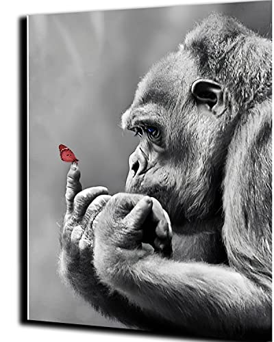 PAMMUQ Malen nach Zahlen Kits für Erwachsene Kinder Gorilla und Schmetterling Diy Kreative handgemalte Ölgemälde Farbige Wohnzimmer Home Dekoration Geschenke -mit Rahmen PAMMUQ Malen nach Zahlen Kits für Erwachsene Kinder Gorilla und Schmetterling Diy Kreative handgemalte Ölgemälde Farbige Wohnzimmer Home Dekoration Geschenke -mit Rahmen von PAMMUQ