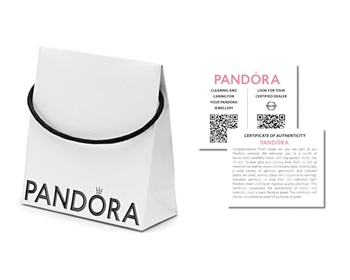 Pandora Umweltfreundliche Tasche für Schmuck, Perlen, Armbänder, Anhänger, Ohrringe, Anhänger (14 x 14 x 6) cm (5) von PANDORA