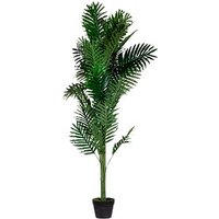meet powered by PAPERFLOW PALME Kunstpalme 160,0 cm meet powered by PAPERFLOW PALME Kunstpalme 160,0 cm von meet powered by PAPERFLOW