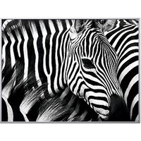 PAPERFLOW Wandbild Zebra von PAPERFLOW