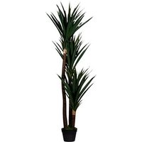 meet powered by PAPERFLOW YUCCA Kunstpalme 150,0 cm meet powered by PAPERFLOW YUCCA Kunstpalme 150,0 cm von meet powered by PAPERFLOW