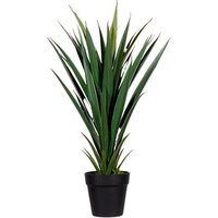 meet powered by PAPERFLOW YUCCA Kunstpalme 60,0 cm meet powered by PAPERFLOW YUCCA Kunstpalme 60,0 cm von meet powered by PAPERFLOW