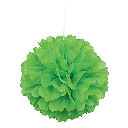 NEU Pompom / Blume aus Papier, Raumdeko zum Aufhängen für Geburtstag, Hochzeit, Party & Co., Größe: ca. 40 cm, Farbe: Grün von PAPSTAR