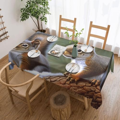 PAQOLSMCKR Rechteckige Tischdecke, kleines Eichhörnchen, wasserdicht, auslaufsicher, knitterfrei, dekorative Tischdecke für Küche, Camping, 137 x 182 cm PAQOLSMCKR Rechteckige Tischdecke, kleines Eichhörnchen, wasserdicht, auslaufsicher, knitterfrei, dekorative Tischdecke für Küche, Camping, 137 x 182 cm von PAQOLSMCKR