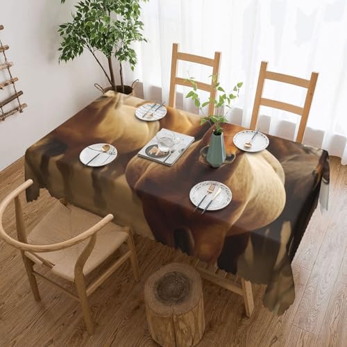 PAQOLSMCKR Tischdecke, rechteckig, 137 x 182 cm, Motiv: viele Pferde, wasserdicht, auslaufsicher, knitterfrei, dekorative Tischdecke für Küche, Camping PAQOLSMCKR Tischdecke, rechteckig, 137 x 182 cm, Motiv: viele Pferde, wasserdicht, auslaufsicher, knitterfrei, dekorative Tischdecke für Küche, Camping von PAQOLSMCKR