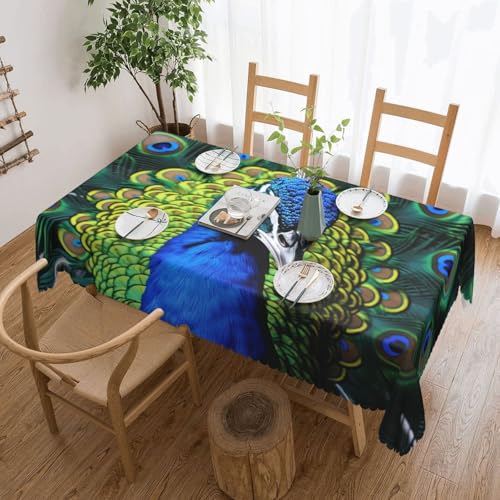 PAQOLSMCKR Tischdecke, rechteckig, 137 x 182 cm, Pfauen-Tischdecken, wasserdicht, auslaufsicher, knitterfrei, dekorative Tischdecke für Küche, Camping PAQOLSMCKR Tischdecke, rechteckig, 137 x 182 cm, Pfauen-Tischdecken, wasserdicht, auslaufsicher, knitterfrei, dekorative Tischdecke für Küche, Camping von PAQOLSMCKR