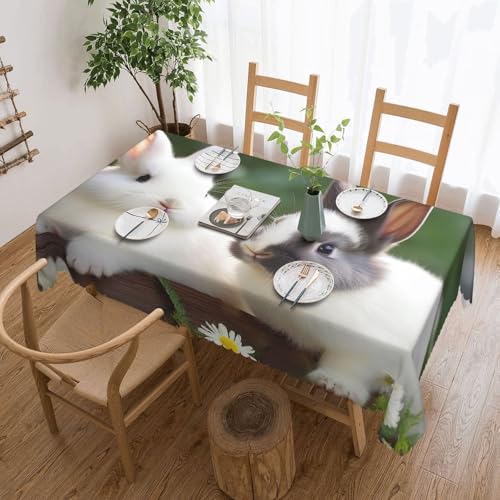 PAQOLSMCKR Tischdecke, rechteckig, 137 x 182 cm, zwei kleine niedliche Kaninchen, Tischdecken, wasserdicht, auslaufsicher, knitterfrei, dekorative Tischdecke für Küche, Camping PAQOLSMCKR Tischdecke, rechteckig, 137 x 182 cm, zwei kleine niedliche Kaninchen, Tischdecken, wasserdicht, auslaufsicher, knitterfrei, dekorative Tischdecke für Küche, Camping von PAQOLSMCKR