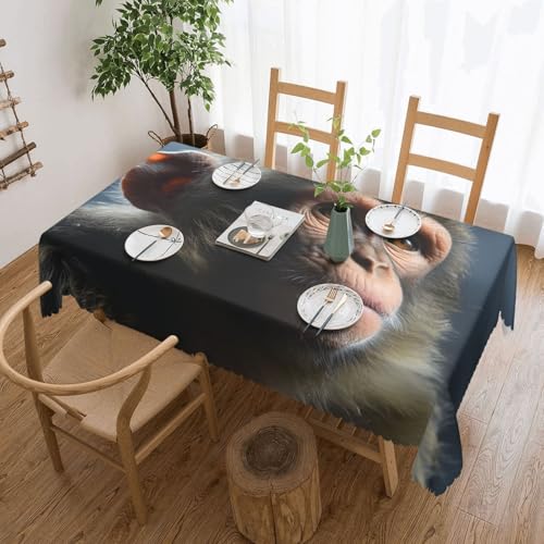 PAQOLSMCKR Tischdecke, rechteckig, Affen-Tischdecken, wasserdicht, auslaufsicher, knitterfrei, dekorative Tischdecke für Küche, Camping, 137 x 182 cm PAQOLSMCKR Tischdecke, rechteckig, Affen-Tischdecken, wasserdicht, auslaufsicher, knitterfrei, dekorative Tischdecke für Küche, Camping, 137 x 182 cm von PAQOLSMCKR