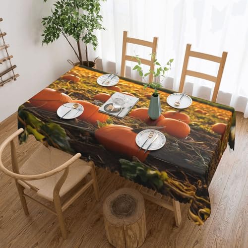 PAQOLSMCKR Tischdecke, rechteckig, Kürbisse auf dem Boden, wasserdicht, auslaufsicher, knitterfrei, dekorative Tischdecke für Küche, Camping, 137 x 182 cm PAQOLSMCKR Tischdecke, rechteckig, Kürbisse auf dem Boden, wasserdicht, auslaufsicher, knitterfrei, dekorative Tischdecke für Küche, Camping, 137 x 182 cm von PAQOLSMCKR