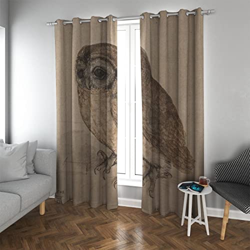 PARREN Extra Lange Eule Tiere Verdunkelung Fenstervorhang 2 Paneele Albrecht Dürer Schöne Kunst Noise Cancelling Vorhänge Behandlung für Baby Kinderzimmer 140x180cm PARREN Extra Lange Eule Tiere Verdunkelung Fenstervorhang 2 Paneele Albrecht Dürer Schöne Kunst Noise Cancelling Vorhänge Behandlung für Baby Kinderzimmer 140x180cm von PARREN