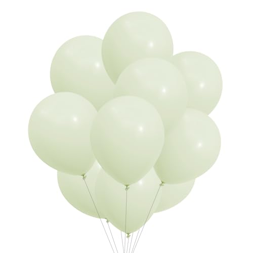PARTY PARTY 12 creme weiße Ballons aus Latex reißfest 30 cm geruchs- und geschmacksneutral Luftballon Deko Kindergeburtstag, Geburtstag Ballon Set, Kinder Party, Hochzeit von PARTY PARTY