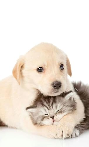 Esspapier für Kuchendekorationen und Torten zum Thema Katzen und Hunde in essbaren Scheiben Cake Design (MOD. 21) von PARTYLANDIA