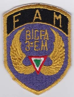 PATCHMANIA Mexican Patch Air Force Fuerza Aerea Mexicana FAM BIGFA 3 EM 91mm 68mm THERMOADHESIVE gestickte Patches Patch von PATCHMANIA