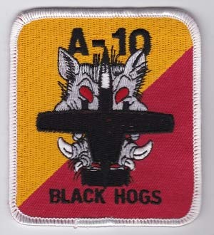 PATCHMANIA USAF Patch ANG 103 u FS Fighter Squadron A 10 Warthog a 89mm 79mm THERMOADHESIVE gestickte Patches Patch von PATCHMANIA