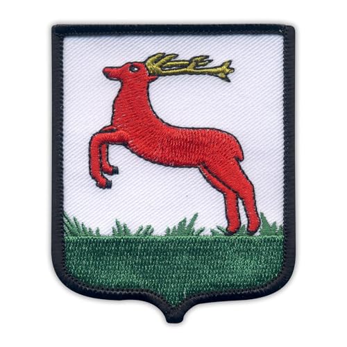 Wappen der Stadt Pila, Merrow-Bordüre, wärmeaktivierter Klebstoff, Rückseite zum Aufbügeln, besticktes Abzeichen/Patch von PATCHSIG
