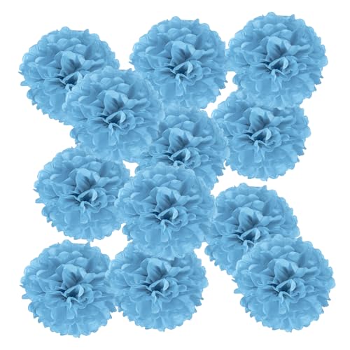 PATIKIL 12 Stück 24 cm Pom Poms Papier Blumen, Papierblumen Hochzeitsdeko Seidenpapier für Hochzeit Brautdusche Geburtstagsparty Hintergrund Dekoration, Seeblau PATIKIL 12 Stück 24 cm Pom Poms Papier Blumen, Papierblumen Hochzeitsdeko Seidenpapier für Hochzeit Brautdusche Geburtstagsparty Hintergrund Dekoration, Seeblau von PATIKIL