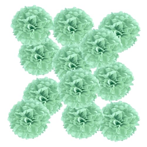 PATIKIL 12 Stück Seidenpapier Pompons Deko, Hellgrün Pompons Dekoration für Geburtstagsdeko Party deko Hochzeitsdeko Gartenparty Babyparty, 250 x 250 mm PATIKIL 12 Stück Seidenpapier Pompons Deko, Hellgrün Pompons Dekoration für Geburtstagsdeko Party deko Hochzeitsdeko Gartenparty Babyparty, 250 x 250 mm von PATIKIL