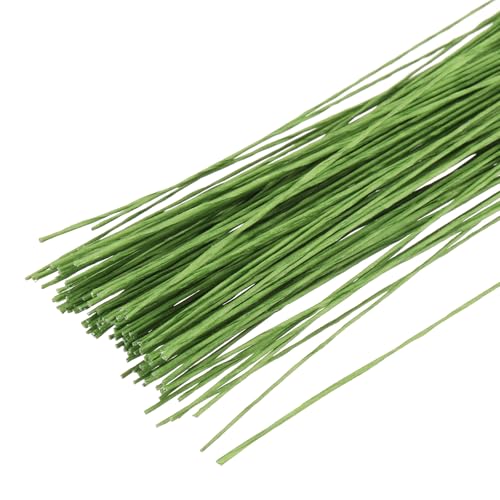 PATIKIL 120 Stück 26 Gauge Blumendraht, 14 Zoll Blumenstiel Draht Blume Papier umwickelte Drähte für Blumenhandwerk Blumenstrauß Arrangement Zubehör Kranz DIY Projekte, Hellgrün PATIKIL 120 Stück 26 Gauge Blumendraht, 14 Zoll Blumenstiel Draht Blume Papier umwickelte Drähte für Blumenhandwerk Blumenstrauß Arrangement Zubehör Kranz DIY Projekte, Hellgrün von PATIKIL