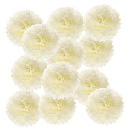 PATIKIL 4-Zoll-Papier-Pompons, 12 Stück Pompons Papierblumen Ball Tissue-Papierblumen für Hochzeit Brautdusche Geburtstag Junggesellinnenabschied Party Hintergrunddekoration, Beige PATIKIL 4-Zoll-Papier-Pompons, 12 Stück Pompons Papierblumen Ball Tissue-Papierblumen für Hochzeit Brautdusche Geburtstag Junggesellinnenabschied Party Hintergrunddekoration, Beige von PATIKIL