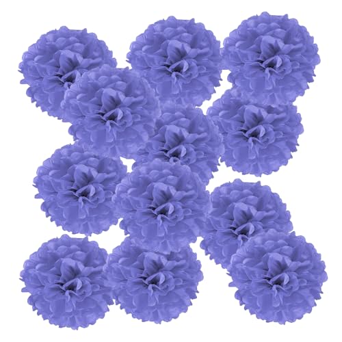 PATIKIL 4-Zoll-Papier-Pompons, 12 Stück Pompons Papierblumen Ball Tissue-Papierblumen für Hochzeit Brautdusche Geburtstag Junggesellinnenabschied Party Hintergrunddekoration, Lila PATIKIL 4-Zoll-Papier-Pompons, 12 Stück Pompons Papierblumen Ball Tissue-Papierblumen für Hochzeit Brautdusche Geburtstag Junggesellinnenabschied Party Hintergrunddekoration, Lila von PATIKIL